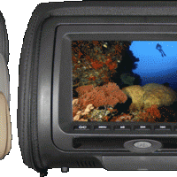 Rear Audio Visual